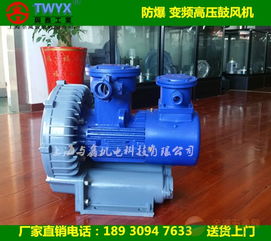 化工設(shè)備專(zhuān)用防爆風(fēng)機(jī) 防爆高壓鼓風(fēng)機(jī)